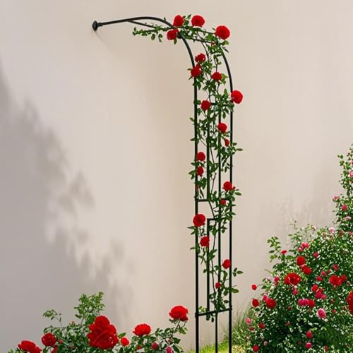 Arche de jardin en métal pour plantes grimpantes - Support de rosiers demi-face - Arche d'extérieur pour vignes, légumes et fruits (300 x 240 cm)