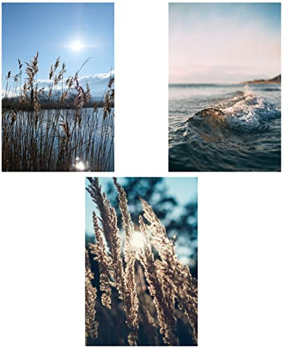 SWECOMZE Moderne Poster Set - 3er Bilder Wohnzimmer Deko Schlafzimmer -Nature Pampas Gras blau Meer Wandbilder, ohne Rahmen (Stil A,40 x 50 cm)