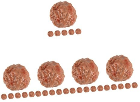 VICASKY 30stücke Künstliche Rindfleischbällchen Dekoration Teiliges Für Küche Und Fotografie Realistische Simulation Von Kreative Requisiten Für Stilvolle Anlässe Und Zuhause