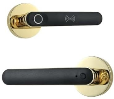 HLRTBCN Tuya Blocco elettronico biometrico Blocco Digitale Serratura Smart Porta Impronta Digitale Passino di Ingresso Knobs Porta per la Camera da Letto Home Office Slimline Design (3401Gold) Aqiong