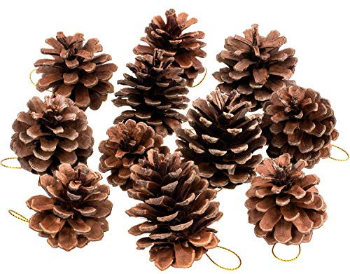 Whaline 25 Pcs 1.6-2.4 Inches Christmas Pine Cones Decoration with String, Natural Rustic Pinecones Bulk Ornaments for Crafting for Home Accent Decor, Fall Thanksgiving Tree Decoration