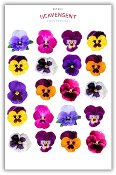 Cake Topper Edible 40 Pansies Flowers Pre-cut Premium Thick Sweet Wafer Card Standing Cupcake Toppers Birthday Party Cake Decorations