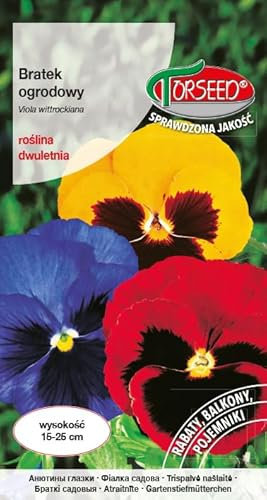 Verdica Mix di fiori giganti viole del pensiero, grandi fiori multicolori, ideali per aiuole e balconi, facili da pulire, biennali, amanti del sole, confezione da 10 g (0,5 grammi)