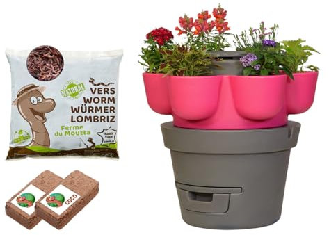 Moutta | WORMgarden Fuchsia 1 jardinières + 250gr de vers de Compost | Jardin Potager Vertical avec lombricomposteur | Cultivez Vos Fruits et légumes | Créez Votre Potager et recyclez Vos déchets