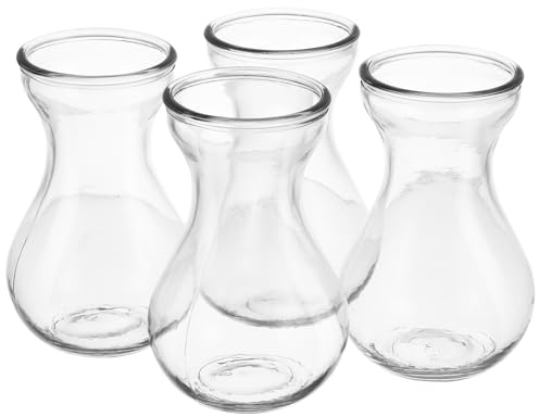 SEWACC Lot de 4 Vases en Verre Transparent Hydroponiques pour Plantes Format Compact Décoration Maison et Bureau Vase à Fleurs Simple et Polyvalent pour Arrangements Floraux