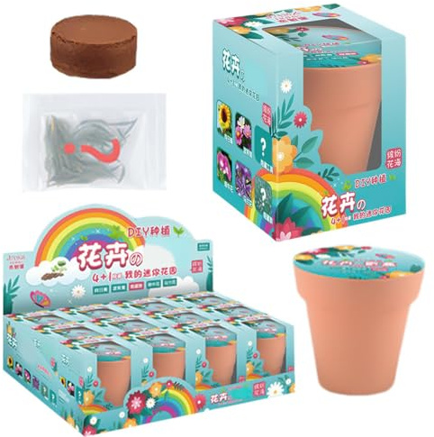 Anzucht-Set für | Starter-Kultur-Set, Mini- und Gemüse, DIY, Beobachtung von im, Kindergarten und Geschenk für frühzeitige Erziehung