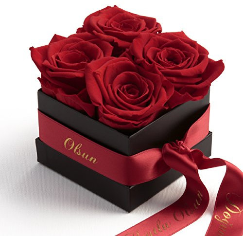 Infinity Rosen Doğum Günün Kutlu Olsun hediye - Rosenbox mit infinity Rosen haltbar 3 Jahre - Geburtstag Geschenkidee (Dogum Gunun Kutlu Olsun, Rot)