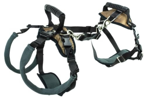 PetSafe Carelift, Arnés de Soporte de Cuerpo Completo con Asa, para Perros Enfermos o Mayores, Transpirable y Cómodo, Ajuste Fácil, Talla M para Perros Medianos