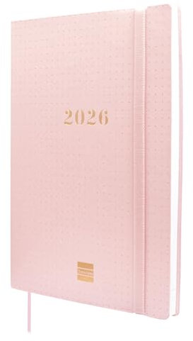 Finocam - Terminkalender Dotted 16 Monate 2025 2026 Horizontale Wochenansicht September 2025 - Dezember 2026 (16 Monate) Rosa International