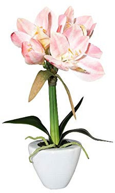 kunstpflanzen-discount.com Amaryllis Kunstblume 37cm mit rosa farbigen Blüten im Keramiktopf