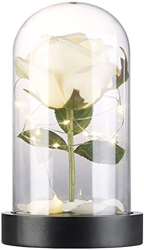 Lunartec LED Rose im Glas: Edle Kunst-Rose mit LED-Beleuchtung in Echtglas-Kuppel, weiß (Glaskuppel, Blumen mit Beleuchtung, Ewige)