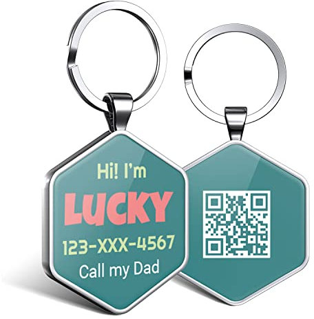DISONTAG Hundemarke Personalisiert mit QR Code,32 mm 2 Seiten Dog Id Tag mit SchlüSselring für Hundehalsband,Leichter zu Lesen als Gravur– Online|Modifizierbar|Colourful(Hexagon)
