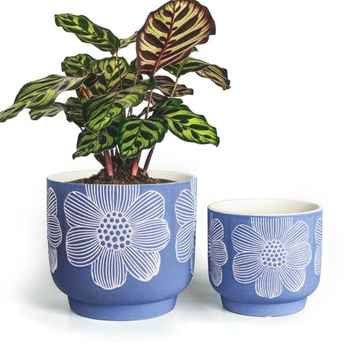YBX 20,3 cm + 15,2 cm weiße Blumentöpfe, sandglasierter Keramik-Pflanztopf mit Drainageloch, Blumentöpfe für Zimmerpflanzen, Blau