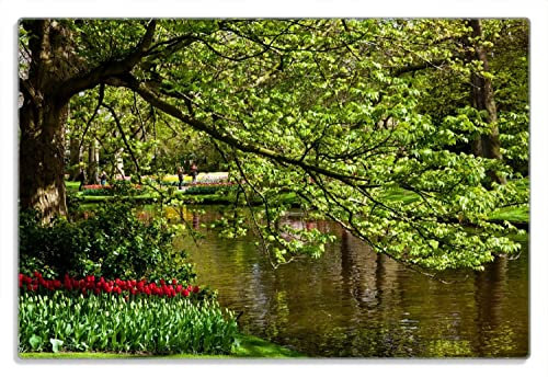 Wallario Frühstücksbrettchen aus Glas, Glasunterlage, Glasbrettchen Bunte Blumen im Park am Wasser - Frühblüher am Ufer, Größe 20 x 30 cm, Sicherheitsglas