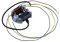Lichtmaschine 6V 15W für Zündapp CS C GTS KS 25 50 Lichtmaschinenankerplatte Lima