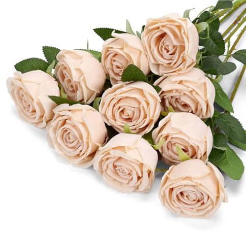 DuHouse 10 Stück Künstliche Rosen, künstliche Seidenblumen, Lange Stiele, Blumenstrauß für Arrangement, Hochzeit, Tafelaufsatz, Party, Zuhause, Küche, Dekoration(Helles Champagner)