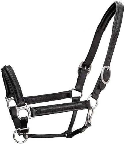 Brama West Cabestro de piel Croc con revestimiento de barniz en relieve de cocodrilo, talla Cob