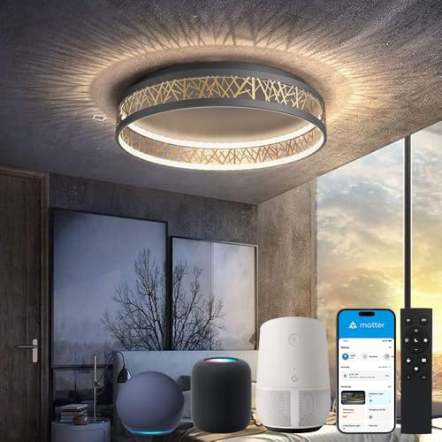 Yuanfenghua LED Deckenleuchte Mit Fernbedienung, Dimmbar Schlafzimmer Lampe with Matter Kompatibel Mit Alexa,HomeKit,Google and eWeLink APP, Rund Schwarz Gold Aushöhlen Design Wohnzimmer Ø50×H12CM