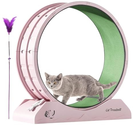 Träningshjul för – löpband för kattungar fitness – träningshjul för med teaser, löpband för kattungar inomhus