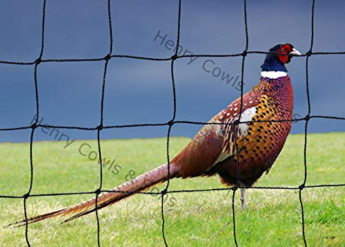 Bird Netting For the Garden/Top Pens 11' X 22' 38mm Anti Pheasant Knotted Mesh 3.3m X 6.7m Heavy Duty Black Net