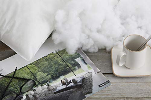 Textilhome – Relleno de Microfibra 100% Poliéster 1 kg (1000 g), Relleno Suave y Esponjoso para Peluches, Almohadas, Muñecas, Cojines, Juguetes y Manualidades.