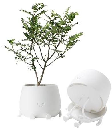 TOPOLA Happy Face Pflanzgefäß 5,2 Zoll Kunststoff Pflanztopf Selbstbewässernder Pflanztopf mit Drainagelöchern für Indoor Outdoor Sukkulenten Topf Lustiger Blumentopf Weiß