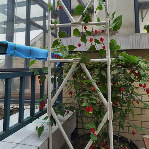 Pergola da giardino in metallo con arco a semicerchio per vialetti, ingressi, terrazza, prato, bellissimo traliccio per piante rampicanti e viti
