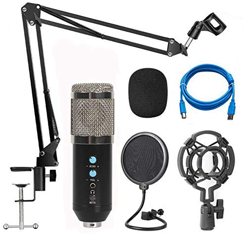Pc Mic Kit profesional de micrófono condensador cardioide de estudio con tarjeta de sonido Boom Arm Mount Filter