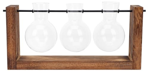 GATHINESS Hydroponic Glass Vase with Solid Wooden Stand, Desktop Plant Propagation Bulb Planter for Home Decor and Office Decoration