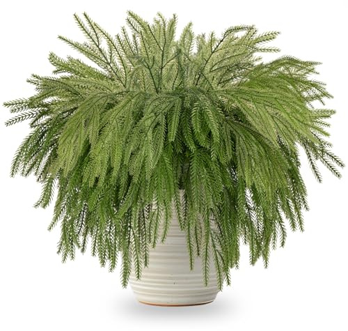 ZOCOYUU 30 Stück Weihnachts-Norfolk-Kiefernzweige, Weihnachtsgrün-Stängel, 39cm künstliche immergrüne Norfolk-Kiefernblattstängel, künstliche Nadelzweige für DIY-Bastelkränze (Green)
