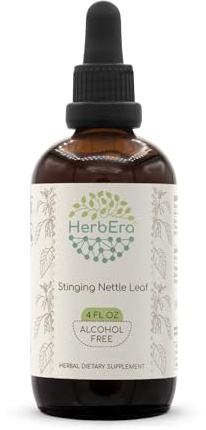 HerbEra Stinging Nettle Leaf B120 Alcohol-Free Herbal Extract Tincture, Concentrated Liquid Drops Natural Stinging Nettle (Urtica Dioica) 4 fl oz