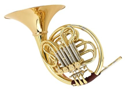 Professionelles Einreihiges Waldhorn Doppelhorn In B F Tonart Für Üben Von Geteilten Instrumenten
