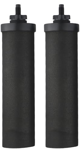 FACAIIO Filtre de purification d'eau pour élément avec charbon actif en coquille de noix de coco, certifié NSF, sédiments et métaux lourds, usage extérieur et domestique