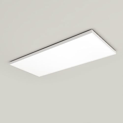 byecold Ceiling Infrared Heater with Remote Control, Built-in Thermostat Far Infrared Panel Energy Efficient, Overheat Protection, Waterproof Silent Heater Panel for Room - 860W