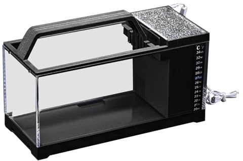 Fix Fish Aquarium - komplett set med LED-belysning och filtersystem | Elegant fiskpool med lugn pump, Nano dekorativt akvarium för sovrum, vardagsrum, kontor