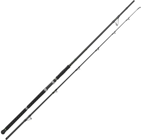Catix® Long Range Wallerrute - 3.10m, 300-600g Wurfgewicht - IM12 Kohlefaser Blank, Fuji Rollenhalter, Anti-Winding-Design