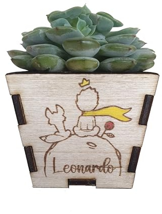 CandleSweetCandle - 3 PEZZI Vasetto personalizzato in legno per piantine grasse per bomboniera o segnaposto battesimo, comunione, matrimonio. Piantina non inclusa (Piccolo principe)