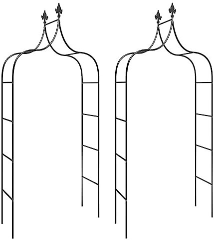 vidaXL Arcos de jardín 2 uds Acero Negro 120x38x260 cm, pérgola de jardín, cenador de jardín, Arco de jardín de Metal, Arco de Rosas