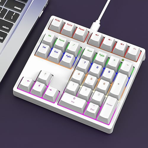 LICAEVEY Teclado Numérico Mecánico, Interruptor Azul de 34 Teclas con Retroiluminación RGB, Teclado Numérico con Cable USB C Plug and Play para Programación y Juegos de PC de Escritorio (White)