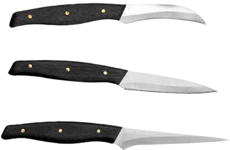 RORPOIR Set 3 Pezzi di Coltelli per Intaglio Frutta e Verdura in Acciaio Inossidabile, Facili da Usare per Casa e Ristorante