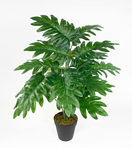Seidenblumen Roß Monstera Real Touch 60cm grün im Topf ZF Kunstpflanzen künstliche Pflanzen Monsterapflanze