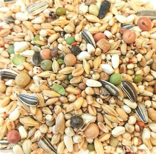 Eurital Taubenfutter ohne Mais 5 kg