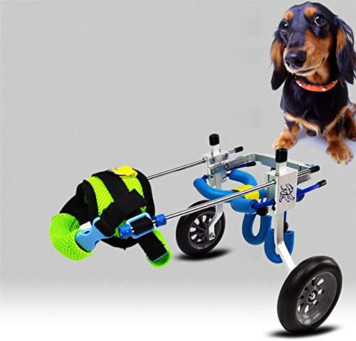GJUOFFKO Hunde-Aktionsgeschirr, Hunde-Rollstuhl-Rückenlehne, verstellbar, für Haustiere, Katzen, Kinderwagen, Hinterbein-Rehabilitation, geeignet für große, mittelgroße und kleine Hunde