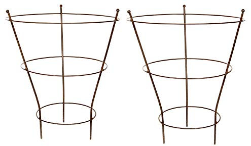 RUDDINGS WOOD Pack of 2 x Medium 51cm h x 40cm dia Metal Garden Peony Plants Support Rings - Rust Effect - Decorative Herbaceous 3 Ring Support Cages Rusted Design