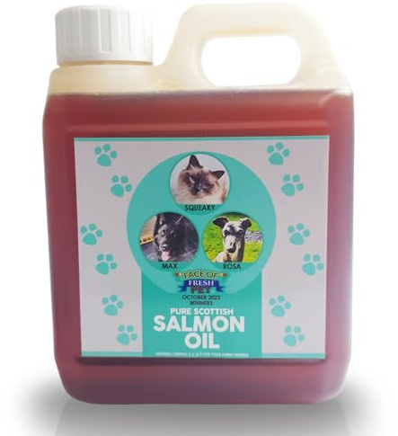 Salmon Oil For Dogs UK, Omega 3, Dog and Cats Health Supplements 1L Jerry | Rich in Omega 3, Supports skin & coat, For dogs & cats, Easy daily supplement, Salmon oil formula