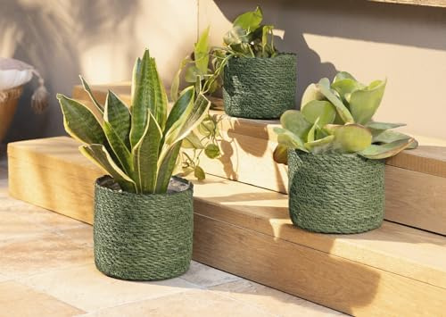 Dekoleidenschaft 3X Pflanzkorb Green aus Seegras, grün, Blumentopf, Pflanzkübel, Pflanztopf für Drinnen & Draußen, Blumenkübel