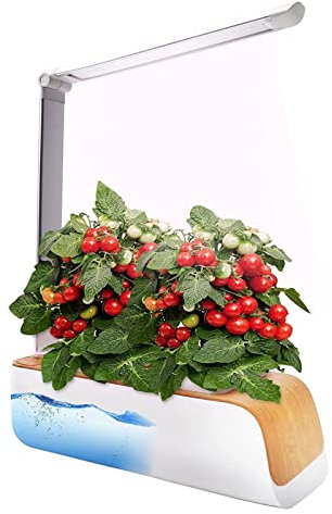 VVLXRIC Culture Hydroponique Interieur, Lumiere pour Plantes D'Interieur LumièRe De Remplissage Automatique, Invite De Niveau DEau, Mini Jardin Interieur, Mini Plantules pour Succulentes Bonsaï