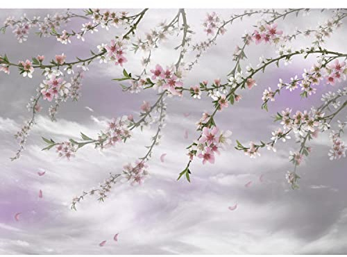 Runa Art Papier peint intissé Sakura fleurs 352 x 250 cm Toison Mur XXL Tableaux Muraux Tapisserie Photo Décoration Murale Salon Chambre violet 9437011c