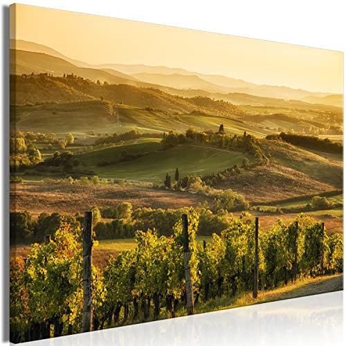 murando - Akustikbild Landschaft Bilder Akustikschaum Hochleistungsschallabsorber Schallschutz Leinwand 1 tlg Wandbild Raumakustik Schalldämmung Toskana Berge Bäume Natur