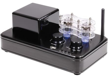 THYXGS Tube Headphone Amplifier, Hi-Fi Stereo Receiver Amplifier, 6F1 Bile Duct, 300C Can Connect To USB Flash Drives and Support Lossless Decoding, For Home Passive Speakers